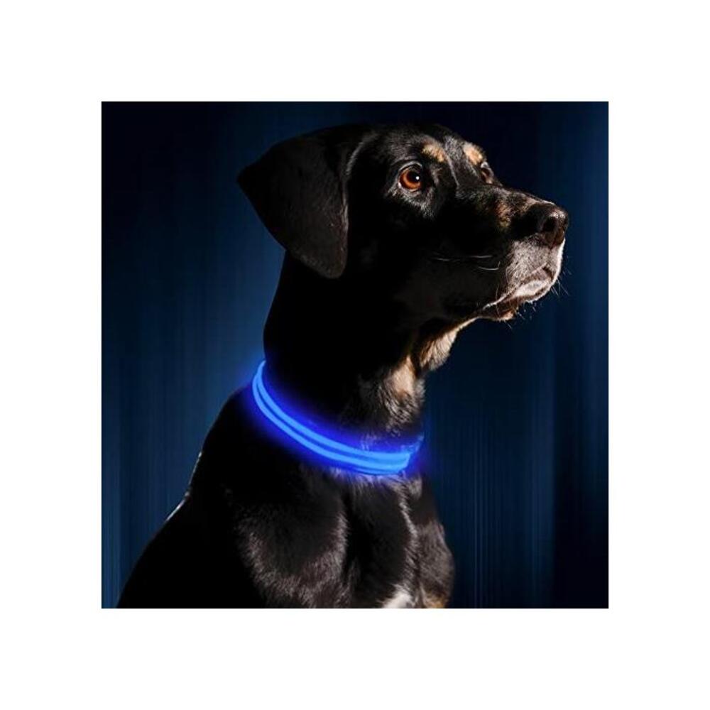 LED Dog Collar - USB Rechargeable - Available in 6 Colors &amp; 6 Sizes - Makes Your Dog Visible, Safe &amp; Seen B01C39CLWA