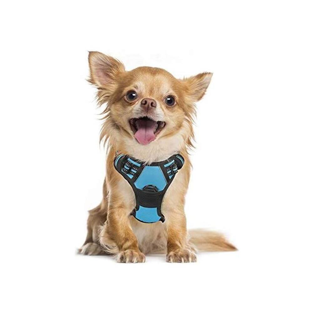 rabbitgoo Dog Harness No-Pull Pet Harness Adjustable Outdoor Pet Vest 3M Reflective Oxford Material Vest for Dogs Easy Control for Small Medium Large Dogs B0895CP83X