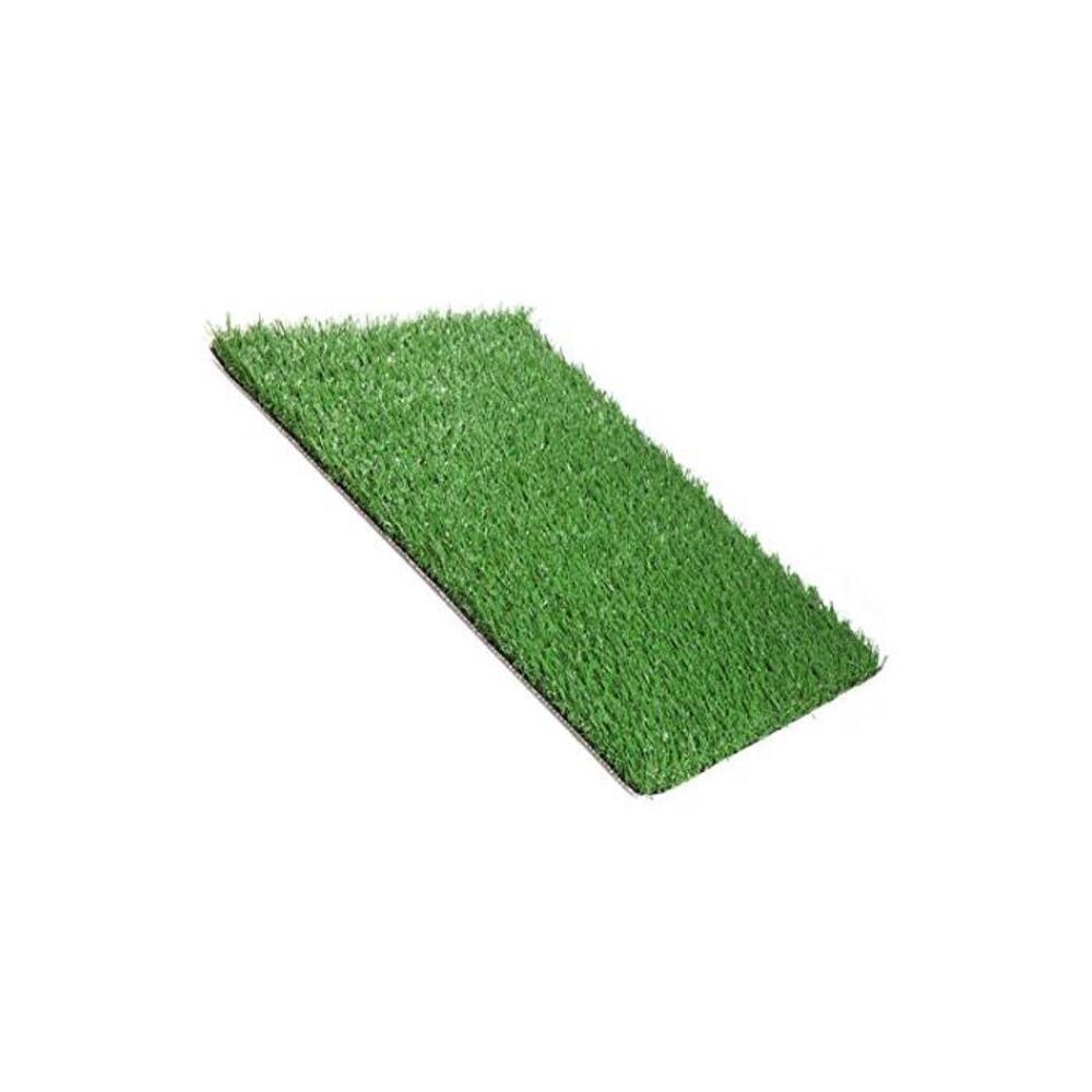 Indoor Dog Pet Potty Training Portable Toilet Loo Pad Tray with Grass Mat (1 Grass Mat) B07RSVQY14
