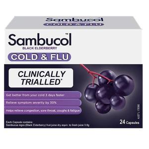 삼부콜 콜드앤플루 24정 Sambucol Cold &amp; Flu 24 Capsules