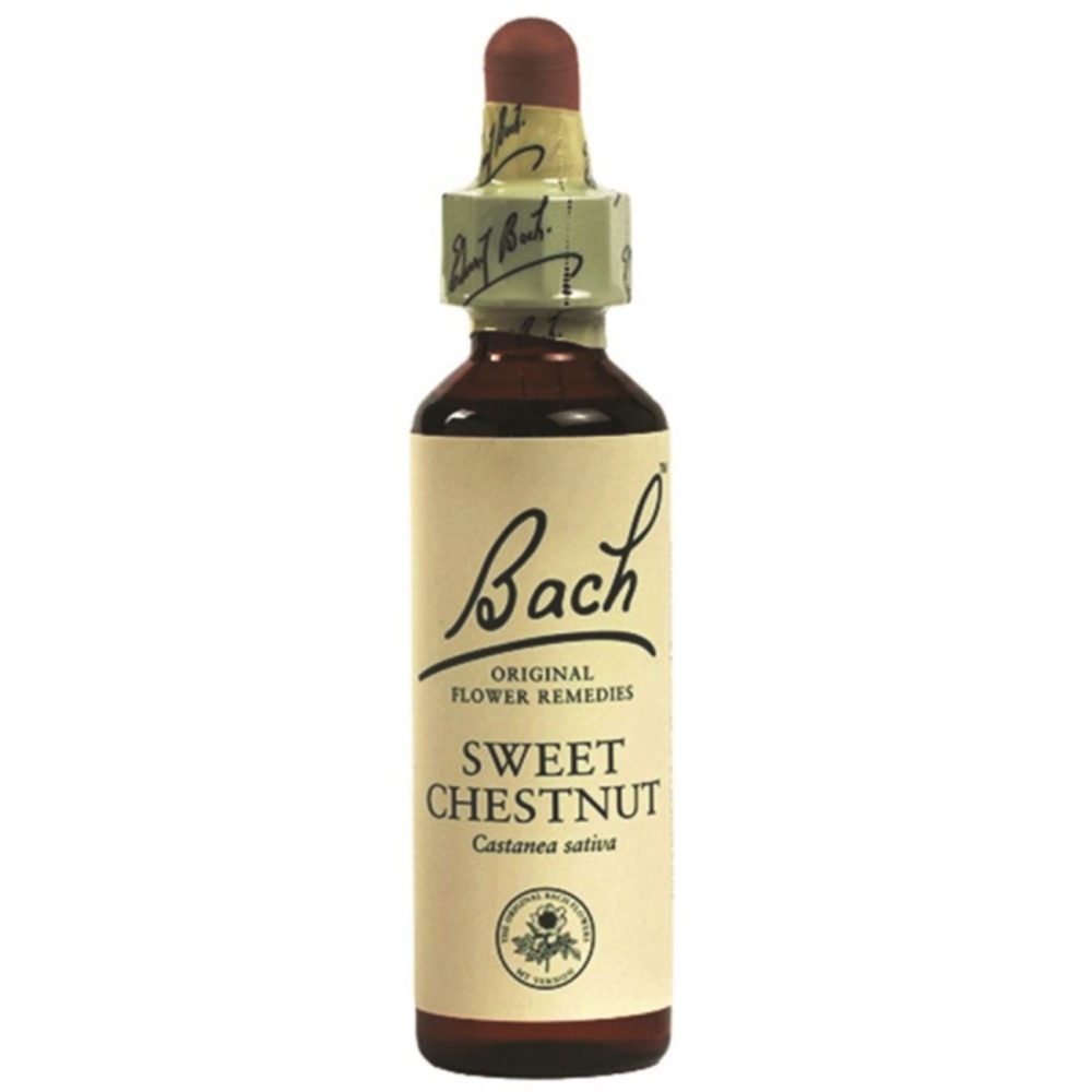 바흐 플라워 리메디스 스윗 밤 10ml, Bach Flower Remedies Sweet Chestnut 10ml