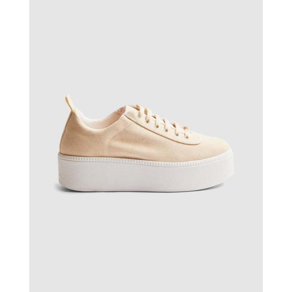 TOPSHOP Chester Canvas Trainers TO101SH81QLU