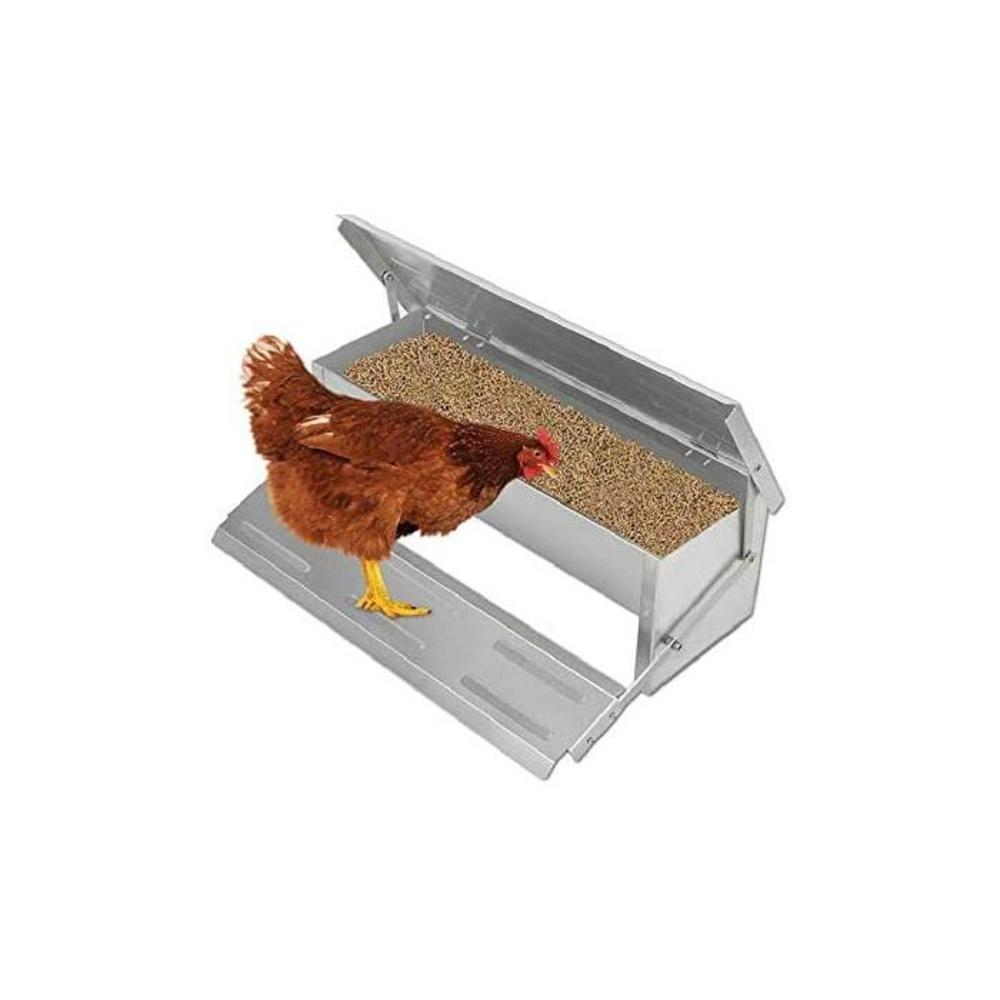 Auto Chicken Feeder Treadle Self Opening Galvanized Chook Poultry B07999GBWC