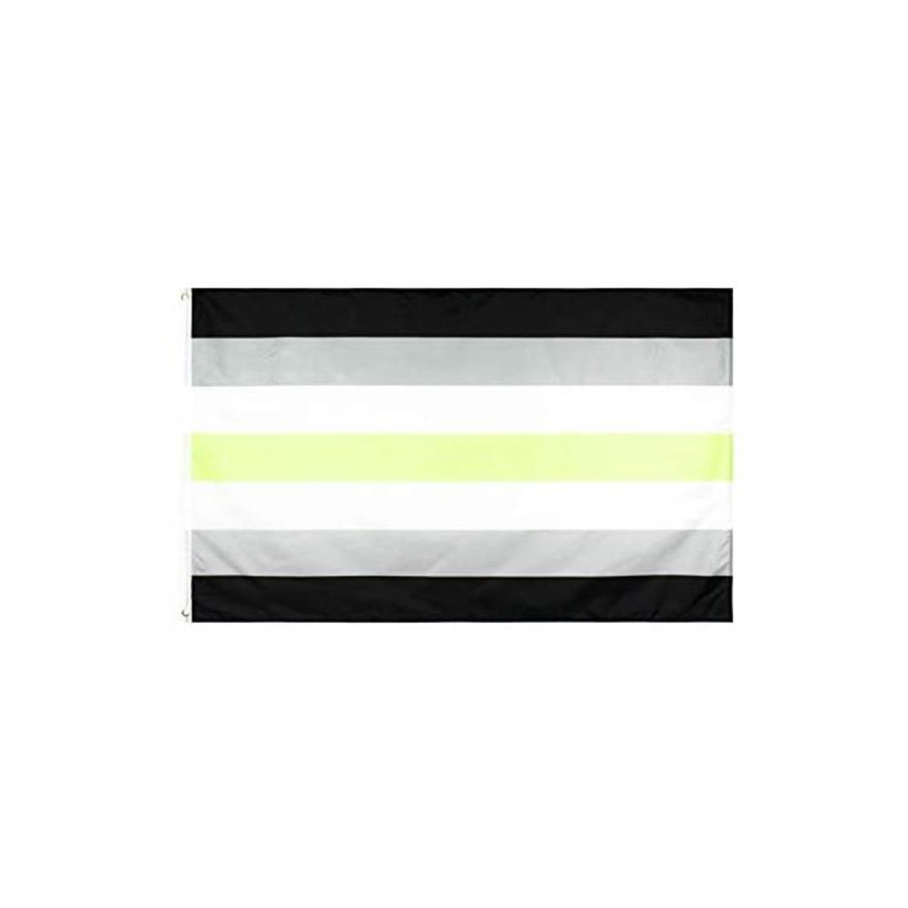 Aertemisi 3 x 5 ft (90 x 150 cm) Agender Pride Flag - Vivid Color and UV Fade Resistant - Canvas Header and Double Stitched - Agender Pride Flag with Brass Grommets B08KCWJCD1