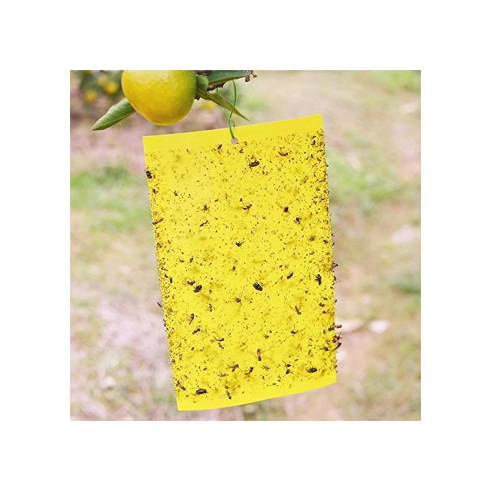 JOYAUS 10 Pack Yellow Sticky Traps, Dual-Sided, 15x20cm, with Twist Ties for Capture Insects Like Gnats, Flies, Aphids,Flying Aphid, Whiteflies, Leaf Miners, Other Flying Plant Ins B08M9326BY