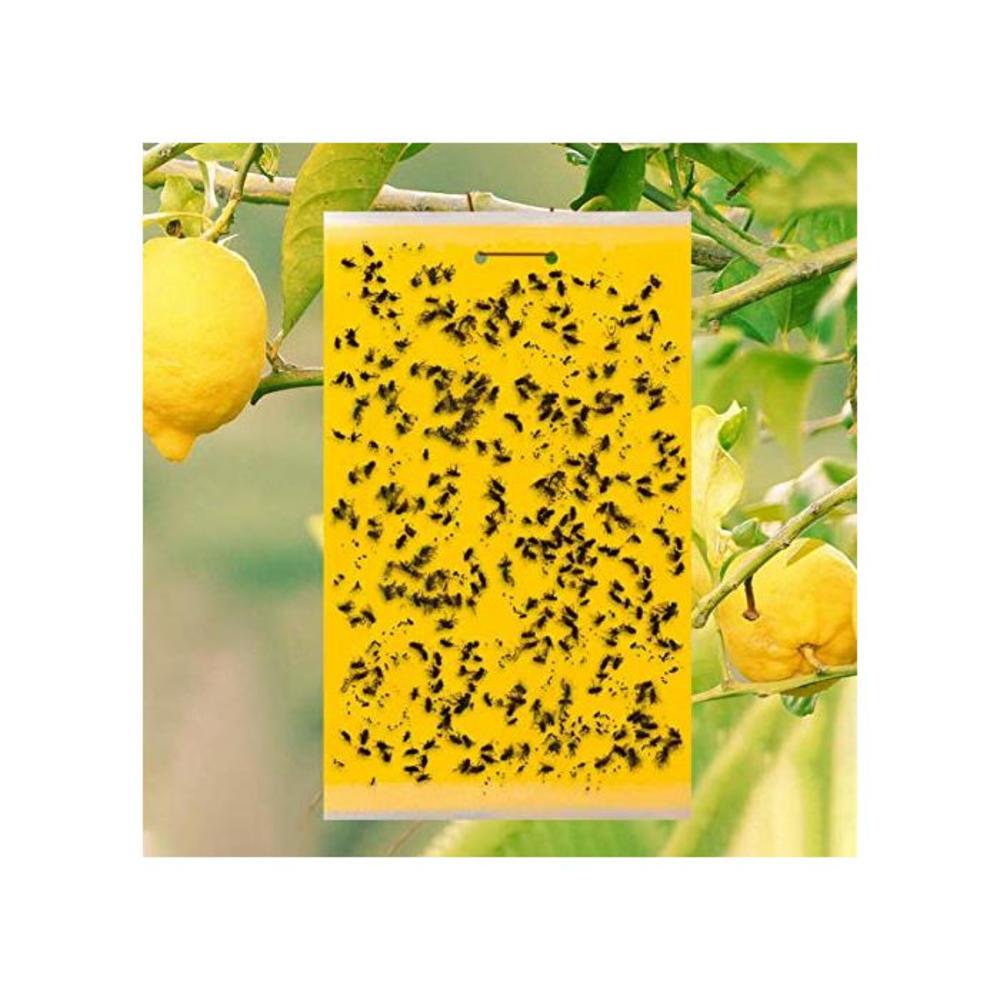 10 pcs Dual-Sided Yellow Sticky Traps for Flying Plant Insect Like Fungus Gnats, Whiteflies, Aphids, Leaf Miners, Thrips, Other Flying Plant Insects - 15x20 cm, Twist Ties Included B087QKS2VG