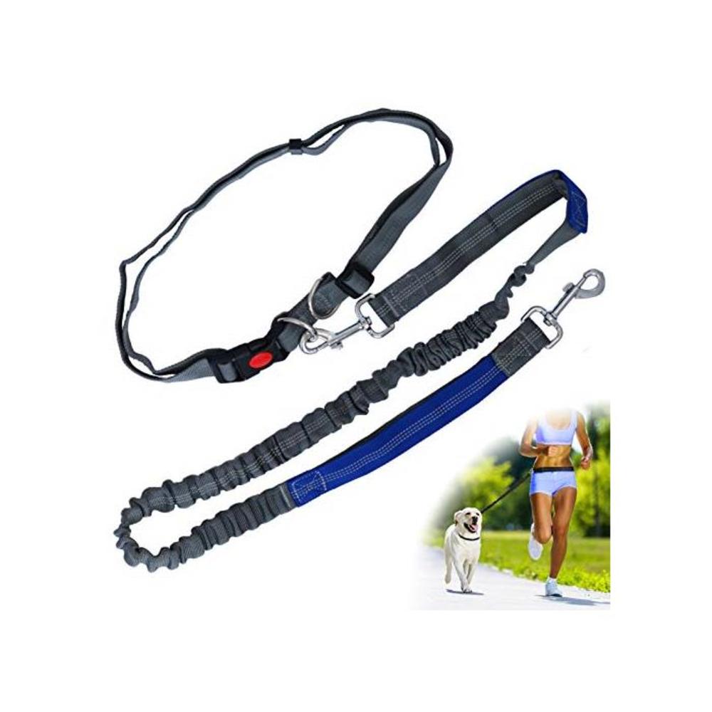 Zenify Hands Free Dog Lead for Running, Walking, Hiking, Canicross Dual Handle Comfortable Waist Belt Leash Band Reflective Stitching Adjustable Bungee Length Extendable 125cm - 19 B07C3M878C