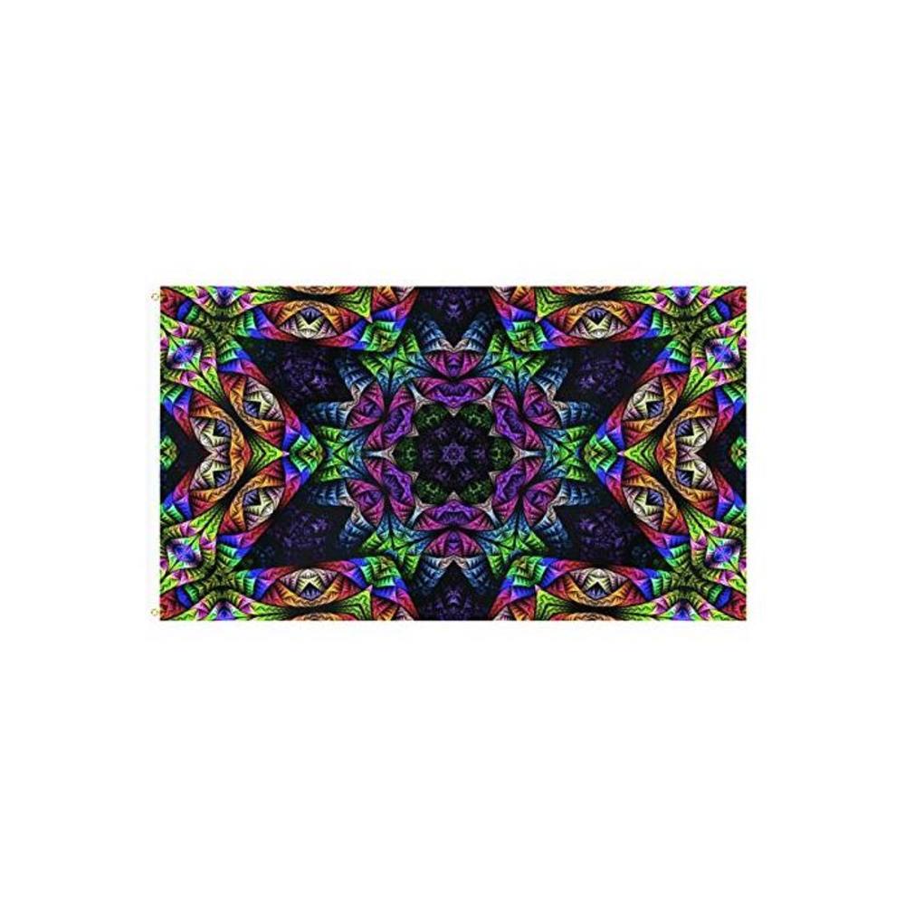 WIM Scientific Laboratories Psychedelic Fractal Festival Flag Rave Tapestry 3 x 5 FT B07M6GHQLB