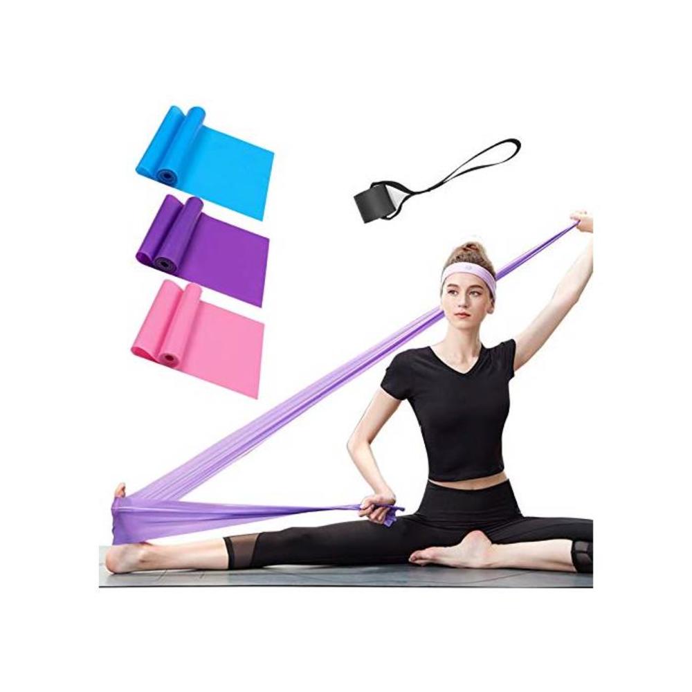 Resistance Bands Set, 3 Pack Professional Latex Elastic Bands for Home or Gym Upper &amp; Lower Body Exercise, Physical Therapy, Strength Training, Yoga, Pilates, Rehab, Blue &amp; Purple B07VK3FF14