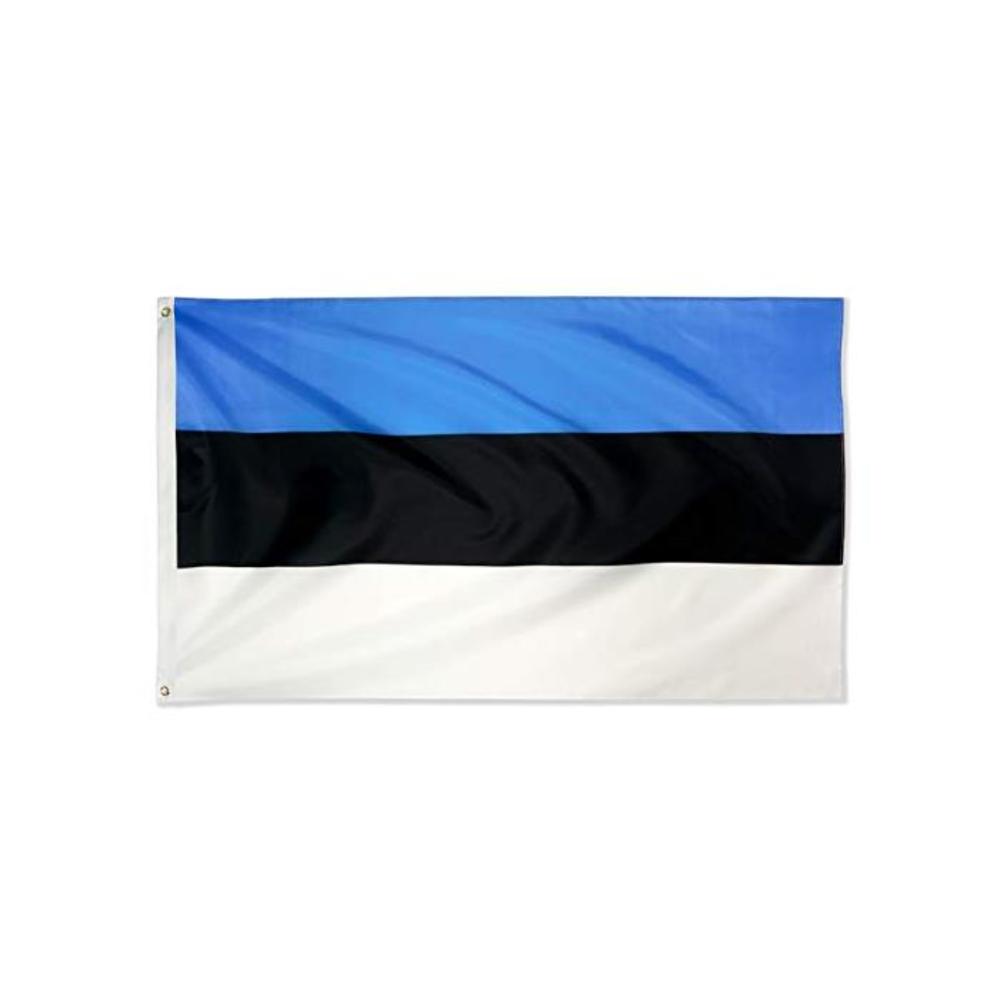 DANF FLAG Estonia Flag 3x5 Foot Polyester Estonian National Flags Polyester with Brass Grommets 3 X 5 Ft B07384LJDJ