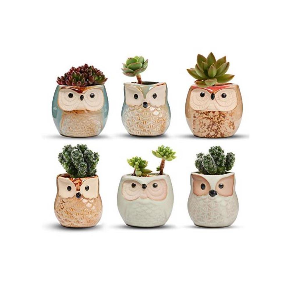T4U 2.5 Inch Owl Ceramic Succulent Planter Pots with Drainage Hole Set of 6, Flowing Glaze Handicraft Plant Holder B07MHHY3F8