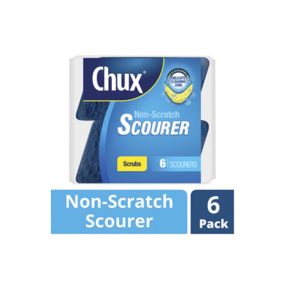 축스 논 스크래치 스카우러 스크럽 6 팩, Chux Non Scratch Scourer Scrub 6 pack