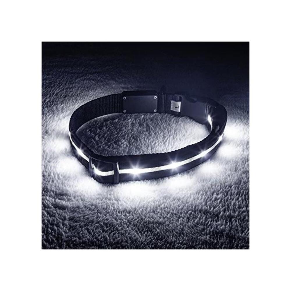 Blazin Safety Led Dog Collar USB Rechargeable with Water Resistant Flashing Light, X-Small, Black B06X1DXZL5
