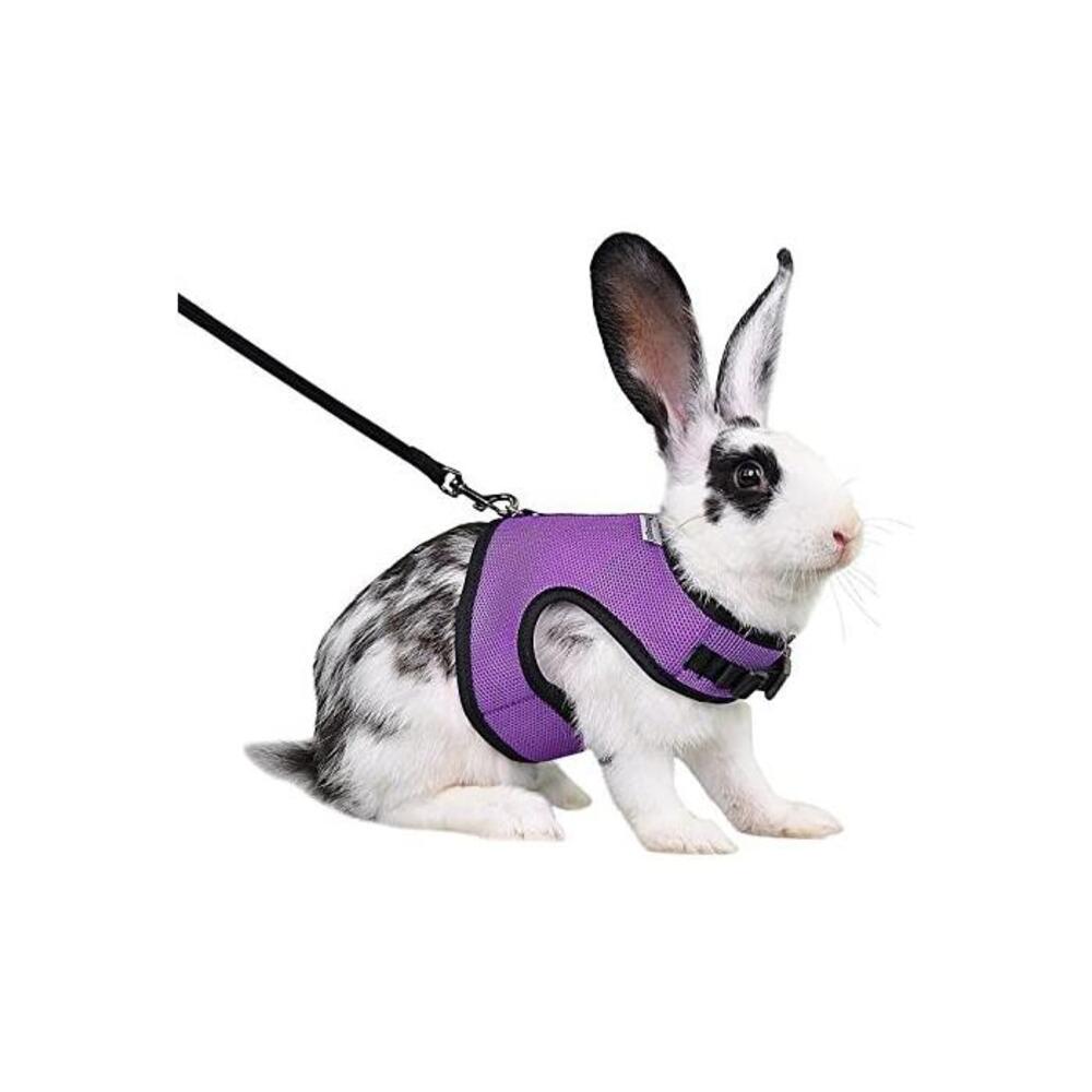 Niteangel Adjustable and Breathable Mesh Harness with Lead for Rabbit (S, Purple) B0739X7XTJ