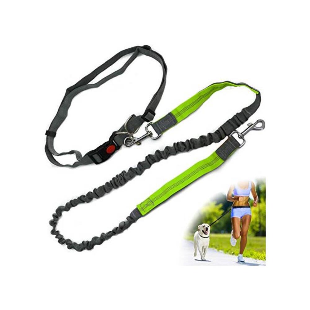 Zenify Hands Free Dog Lead for Running, Walking, Hiking, Canicross Dual Handle Comfortable Waist Belt Leash Band Reflective Stitching Adjustable Bungee Length Extendable 125cm - 19 B07DZ8ZGWX