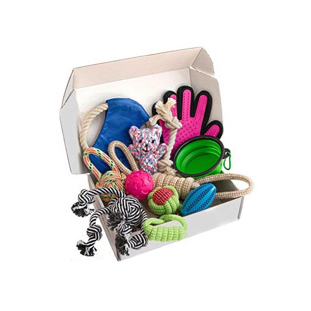 Zenify Puppy Dog Toys Gift Box - Pet Interactive Dog Rope Toy Starter Set - Tug Cotton Fetch Ball Rubber Training Puppies Play Grooming Glove Portable Travel Bowl B07BXJY4P8