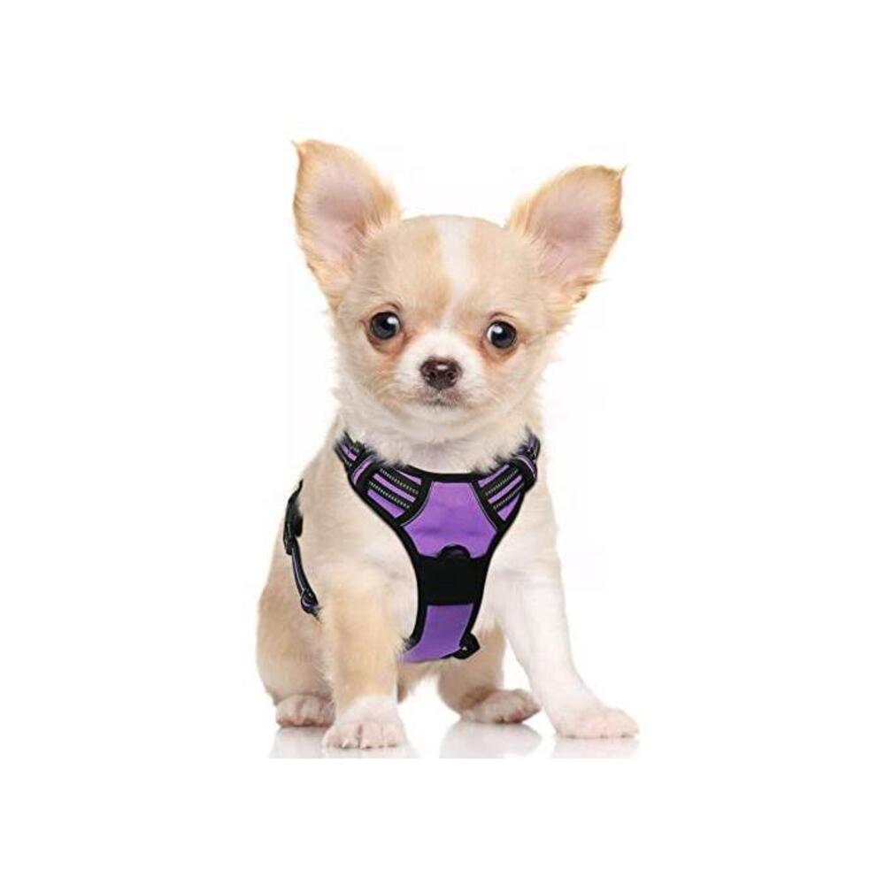 rabbitgoo Dog Harness, No-Pull Pet Harness with 2 Leash Clips, Adjustable Soft Padded Dog Vest, Reflective No-Choke Pet Oxford Vest with Easy Control Handle for Small Dogs, Purple, B08LZBLM85