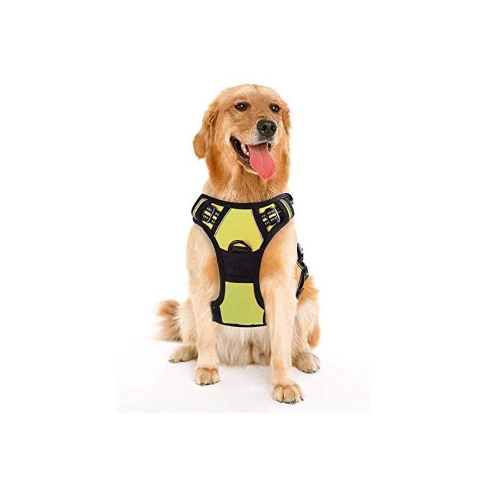Rabbitgoo Dog Harness No-Pull Pet Harness Adjustable Outdoor Pet Vest 3M Reflective Oxford Material Vest for Dogs Easy Control for Small Medium Large Dogs B01M5CTPZT