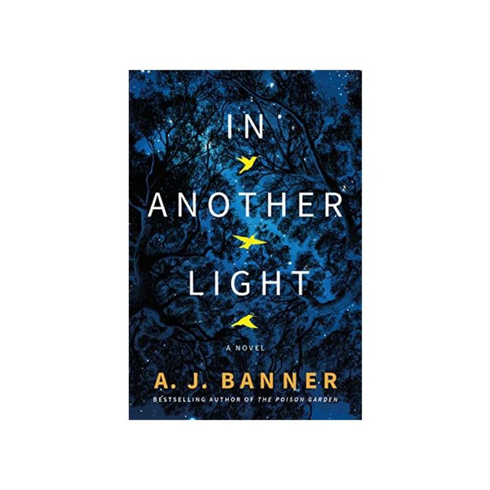 In Another Light: A Novel B08XJWYX4X