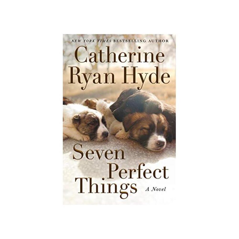 Seven Perfect Things: A Novel B08B7YXJH7
