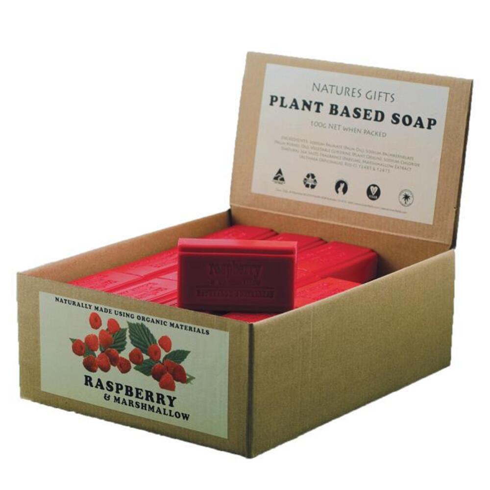 Clover Fields Natures Gifts Plant Based Soap Raspberry &amp; Marshmallow 100g x 36 Display